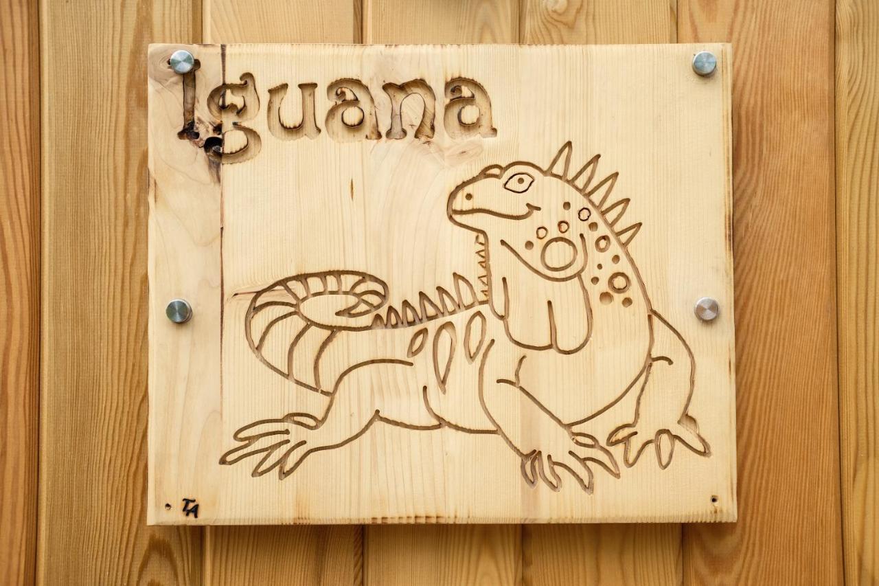 Iguana - Das Tiny Haus Am Reptilienzoo Reptilium Landau in der Pfalz Eksteriør billede